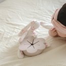 케이스낵 이미지