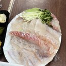 장군횟집 - 속초시 장사항해안길 13 | 남양주 진접 횟집 포장맛집 활어장군 진접점 모둠회 후기