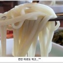 소나무집 이미지