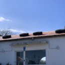 6코스 | [서귀포/성산] 제주 UMMM: 제주도 가성비 코스요리ㅣ런치 6코스 내돈내산 후기