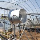 유동농장 이미지