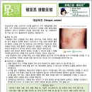 성광약품(주) 이미지