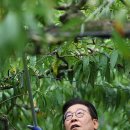 이재명농장 이미지