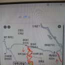 인제 자작나무숲 사진 이미지