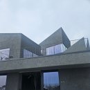 셜터(SHLTR) | 속초 맛집 디저트 카페 셜터SHLTR 종류별로 먹어본 후기