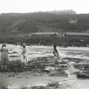 영광리조트 이미지