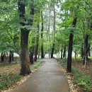 울산인공암벽센터(주말) 이미지
