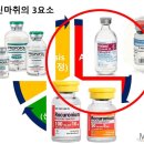 유진인터내셔널