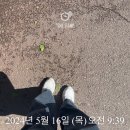 부천시 원미구 분위기임장 일기
