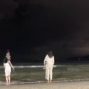 해운대캇트 이미지
