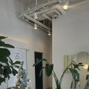 라인필라테스 영남대점 | 4 대 1로 체계적으로 배우는 영남대필라테스 라인필라테스 영남대점!