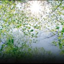 낙원여관 이미지