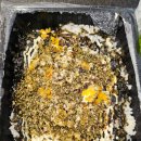 태극반점 이미지