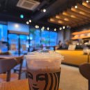 오후의 여유타임 홍차 | ​☕ [전주 카페] 단짠 폼과 깊은 홍차의 낭만적인 만남...전주덕진광장점 '씨솔트 폼 블랙 티' 솔직 후기
