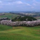 삼화농장 이미지