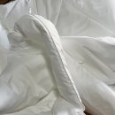벧엘세탁 | 로이스베딩 | 호텔침구, 20년 전문 호텔 침구 전문
