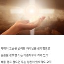 새날목장 이미지