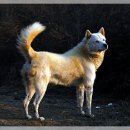 두리농장3 Daum카페