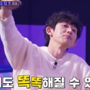 브레인스카우트 이미지