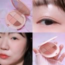 뷰티톡톡 | 올영추천템 봄웜라 팔레트 이글립스팔레트 04 선키스드 사용후기