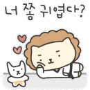국가대표 영어 태궈니스트 태권도 이미지