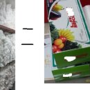 진영봉투 이미지