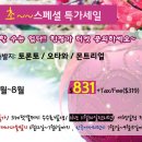 오렌지여행사 이미지