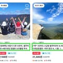 (주)카월드 간석지점 | 호주 시드니 페더데일 동물원 오픈런 셔틀버스 후기 VS 타롱가주 비교 (코알라, 쿼카, 왈리비 등)