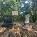흥월로 | 태화산(강원도 영월군)89번째픽(240805)