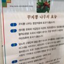 세종맛집 보람동 세종청사 용포맛집 내인생 첫 흑염소 먹어본 후기