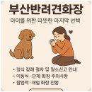 온양동물병원 | 부산반려견화장, 아이를 위한 따뜻한 마지막 선택