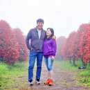 안덕농장 이미지