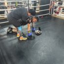 성일GYM 복싱센터 이미지