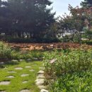 수산교(농협앞) 이미지