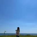 포항시북구67 | [포항로그] 2박3일 포항 여행기, 포항 가볼만한 곳
