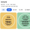 외서농업협동조합 | 관광지 말고 진짜 로컬｜속초 숨은맛집·성게비빔밥·고성 오션뷰 카페