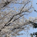 수원시 체육회주변 이미지