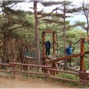 산막이옛길 주차장 Daum카페