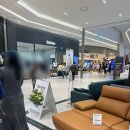 다우닝롯데 | 신혼부부 소파 추천 <다우닝> 천연가죽 젤코바 3인 내돈내산 후기 : 패브릭, 가죽 소파 고민될 때 꿀팁