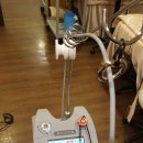 가인메드 이미지