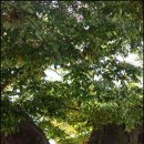 황새마을 이미지