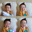 8월의 우박과 쌍무지개/깻잎심기/메밀국수와 영구/마키다미아에 빠진 부자/베데엔하(ВДНХ)산책/인생...