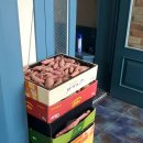 정렬농장 이미지