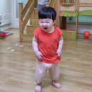 칼비테어린이집 | 동대문구 장안2동 칼비테영재 어린이집 솔직 후기