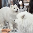 겨울이 머무는 집 이미지