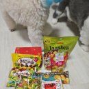 하쿠애견샵 이미지