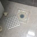 동읍1274 이미지