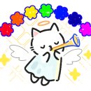 라이트쿠키 이미지