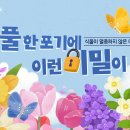 [하나님의교회]사막에 뜨는 별 - 당신의 장점은 무엇인가요? 이미지