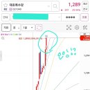 에스엠씨홀딩스
